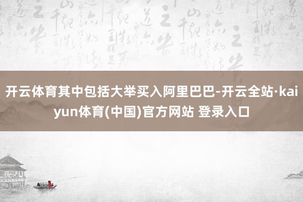 开云体育其中包括大举买入阿里巴巴-开云全站·kaiyun体育(中国)官方网站 登录入口